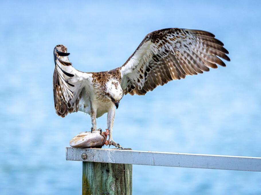 Almonta On The Water Front Apartment Coffin Bay